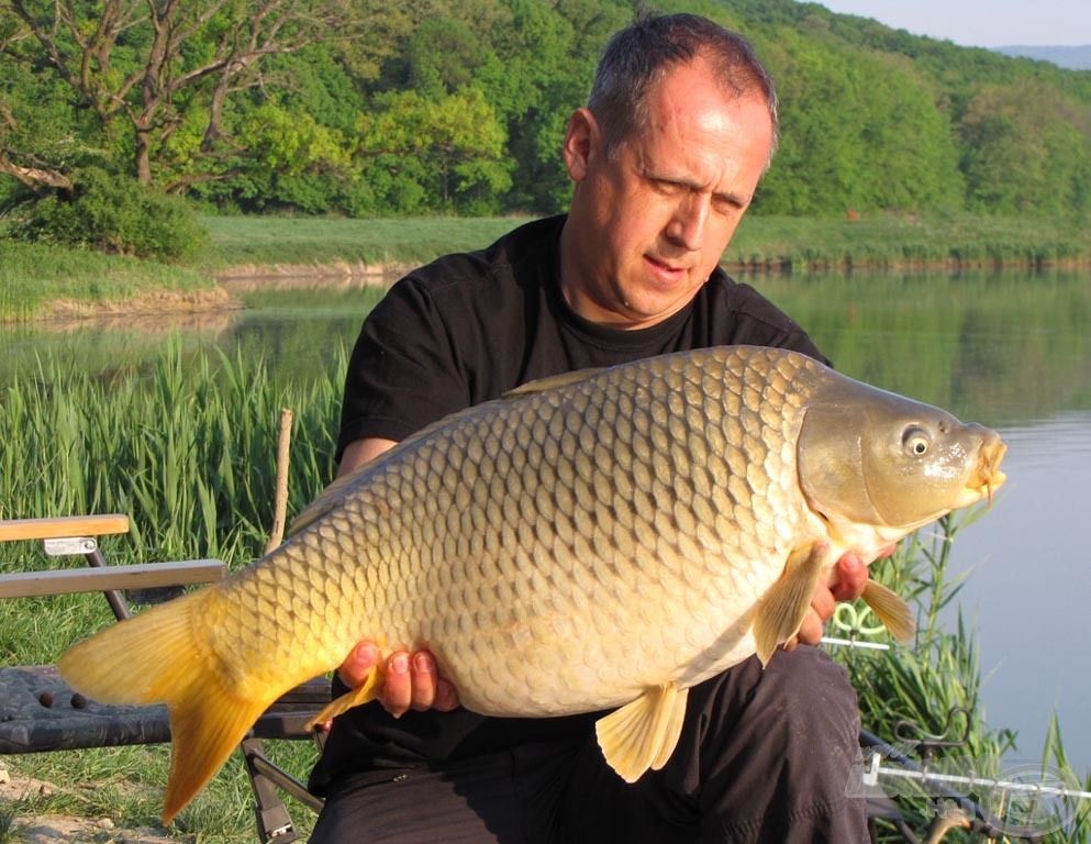 Festői táj, hibátlan tőponty: Harsányban vagyunk