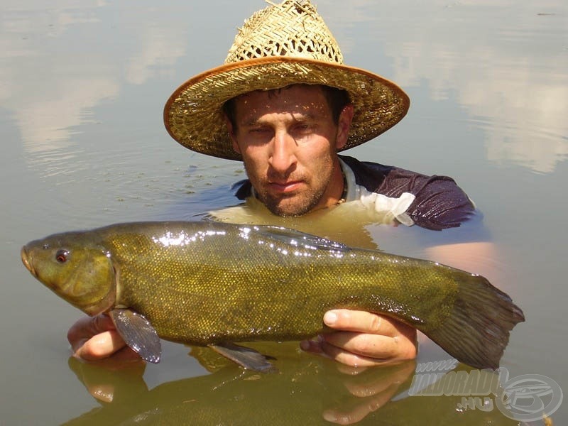 A túrán fogott legnagyobb példány nem kevesebb, mint 1,9 kg-ot nyomott! Szintén egyéni rekord Ottónál, fajon belül