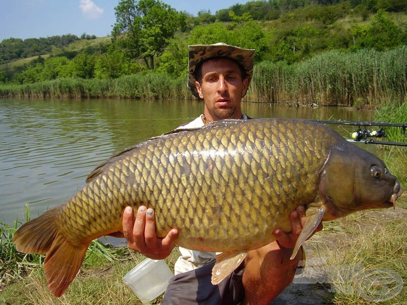 A „padavan”, aki a miszlai közös horgászatunk alatt kiérdemelte a „mesteri” címet! Ottó új egyéni pontyrekordja 15,4 kg! - Boltizár mester! A fékerő legyen veled a továbbiakban is! :-))