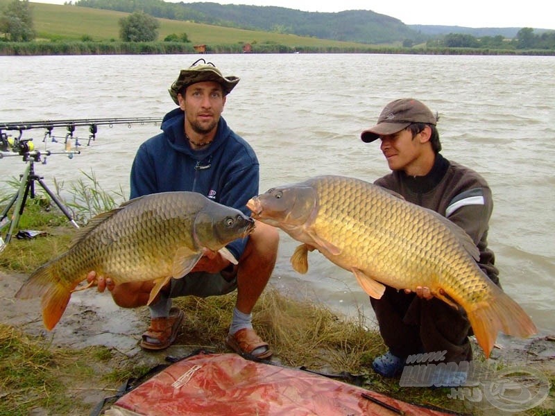 … majd ezt követően, napkeltére nekem is megérkezett a nagy ponty, amiért egy óriási hajrát nyomattam a végére! (12,9 kg) Sőt! Mindezek tetejében Ottónak egy kerek 10-es bajszos jelölt befigyelt a bója melletti etetésen. Ilyen az, amikor egy elsőre badarságnak tűnő ötlet úgy válik be, ahogy azt mi elképzeltük!