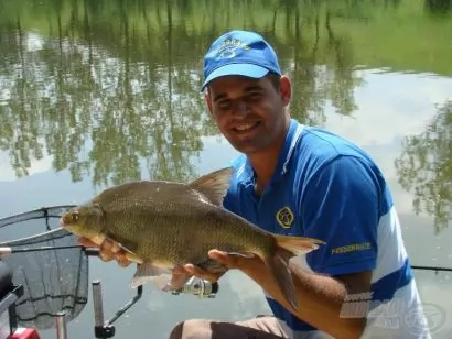 Pontyos nagy dévérek