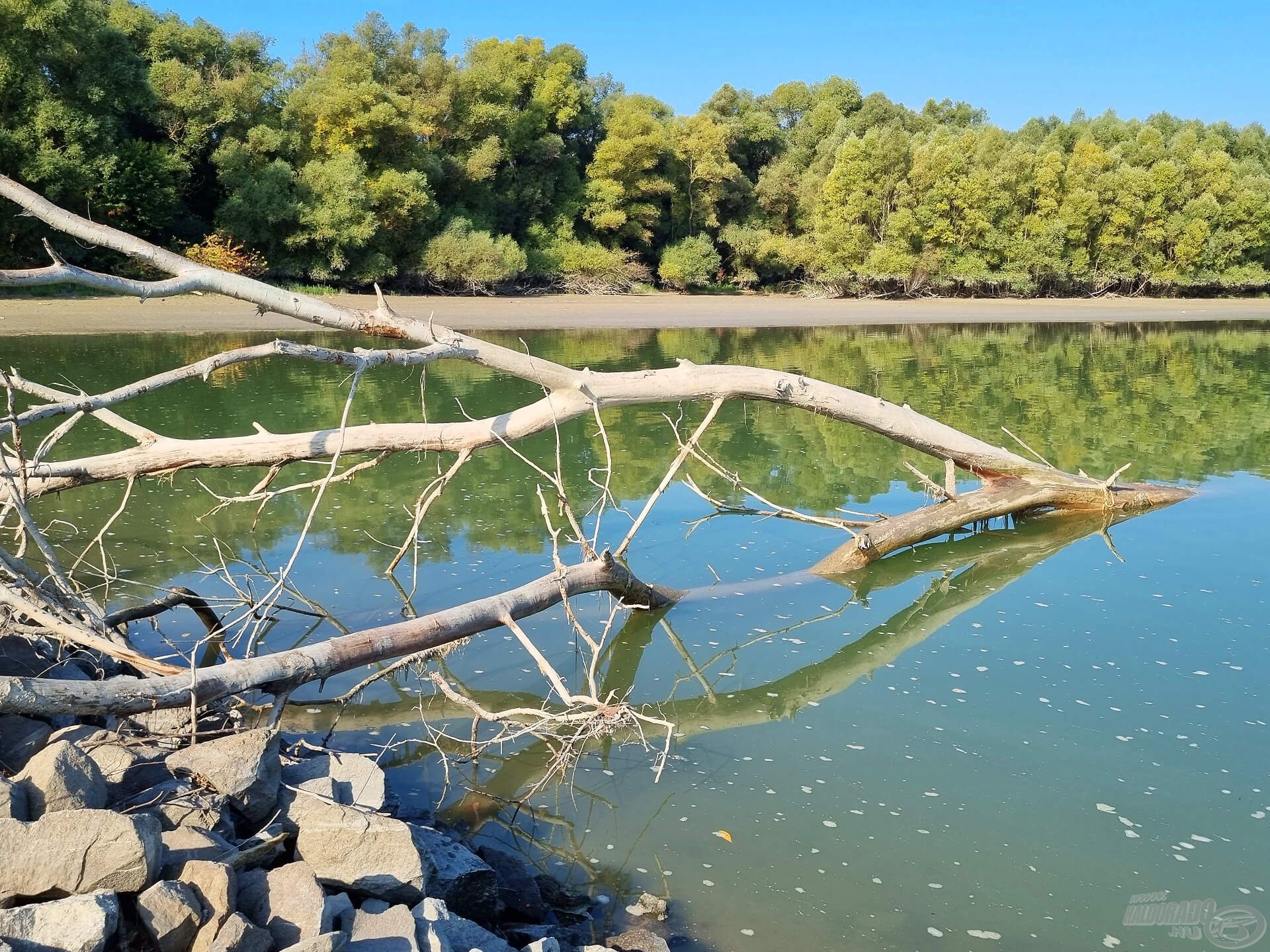 A folyó uszadéka – idővel és magasabb vízállásnál igazán jó haltartó hellyé válhat