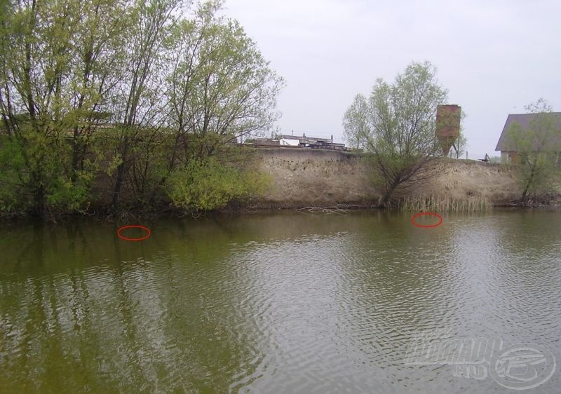 A bal oldali a Fűszeres Halas etetés, a jobb pedig a Pelletes Feketés