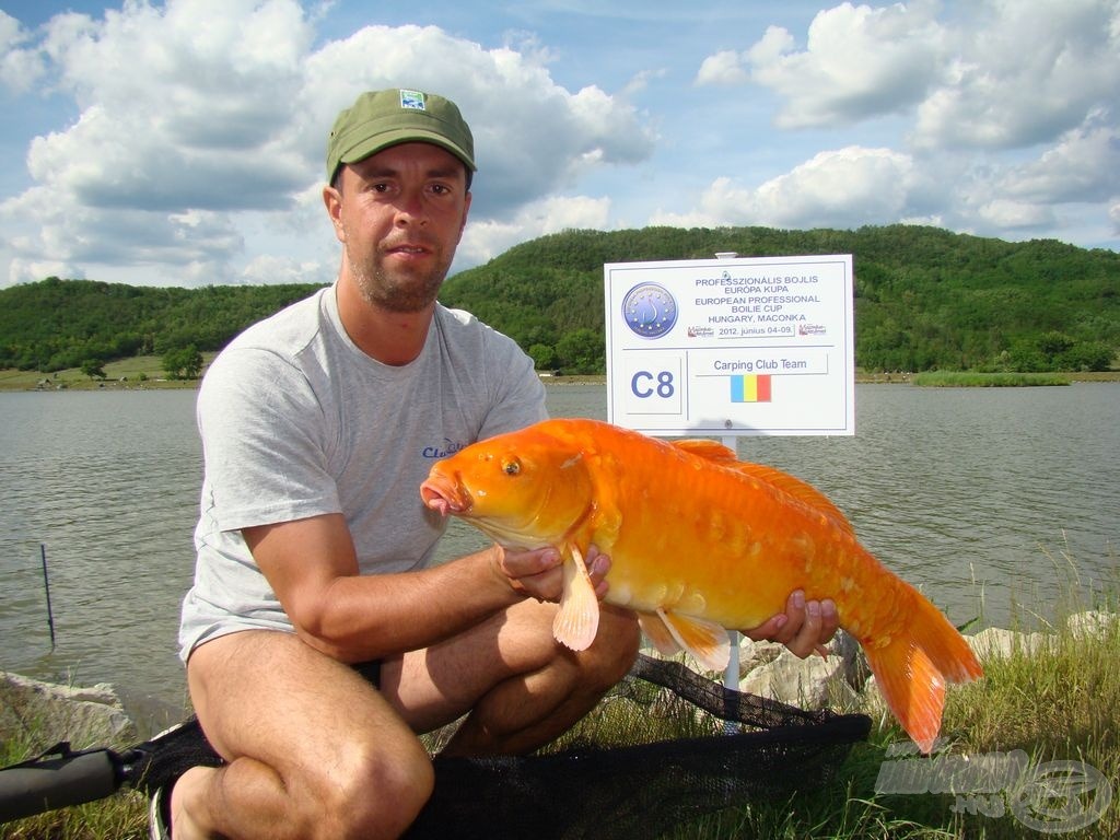 Káprázatos koi-k: Carping CT