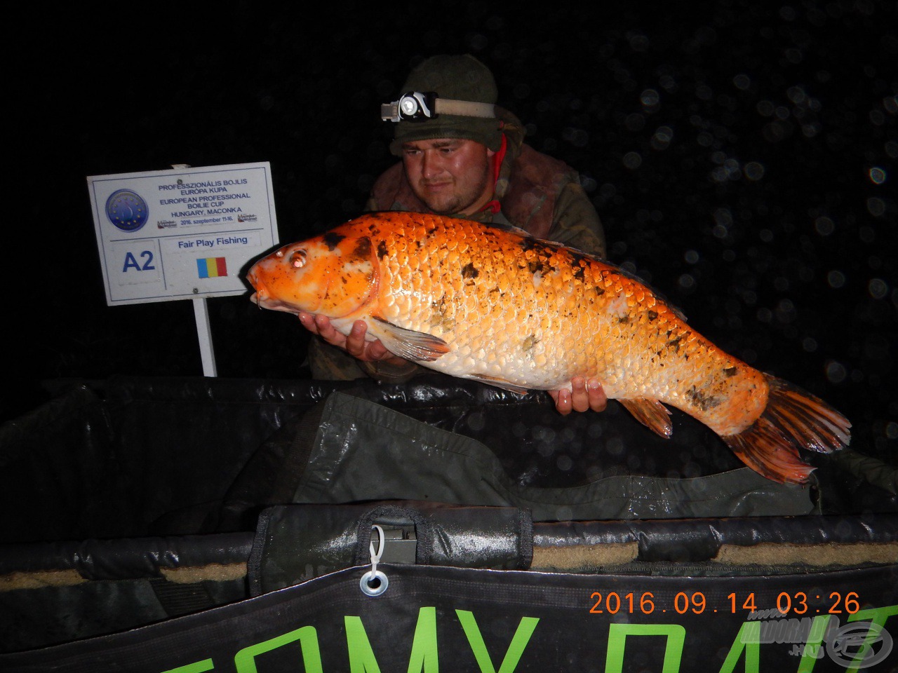 Fair Play Fishing - fair koi!