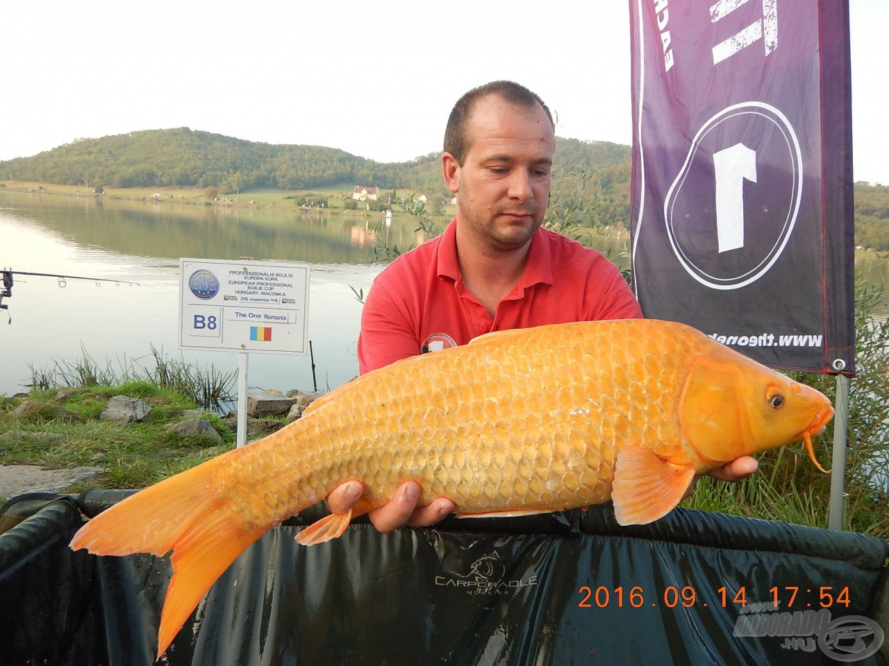 Koi a Felező-spiccről