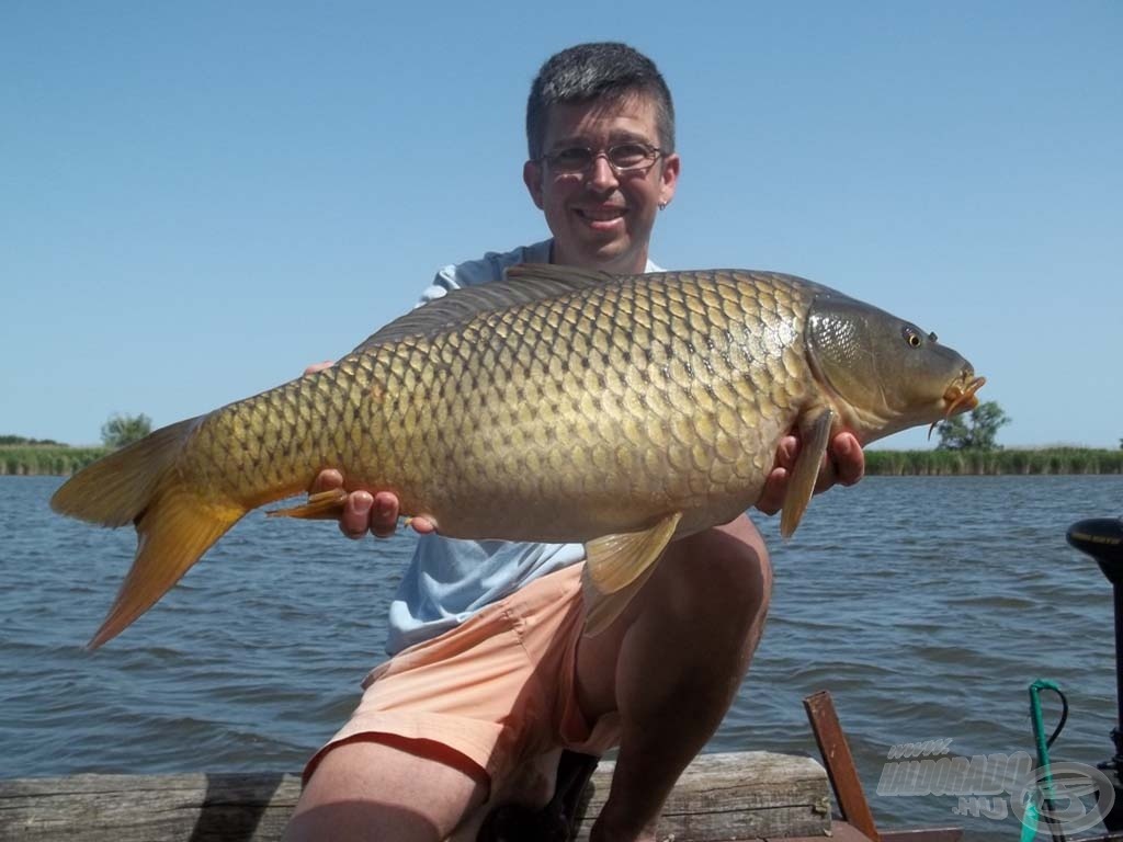 7,64 kg-os gyönyör, a hétvége hala. Továbbra is a holtág lakója!