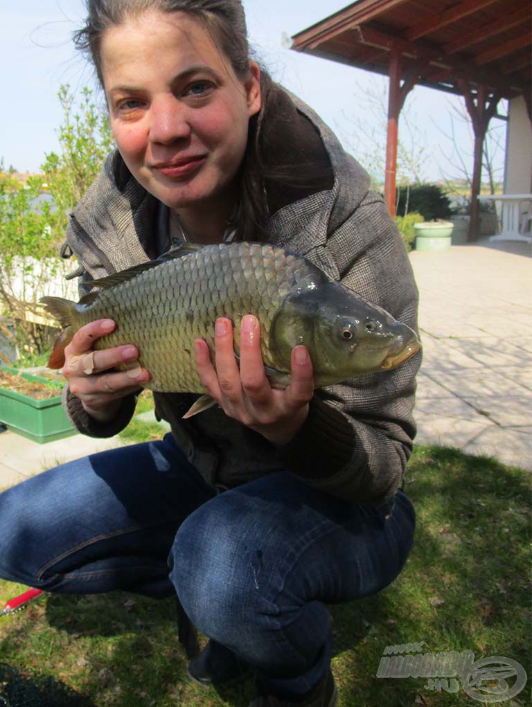 A második 2 kiló körüli ponty