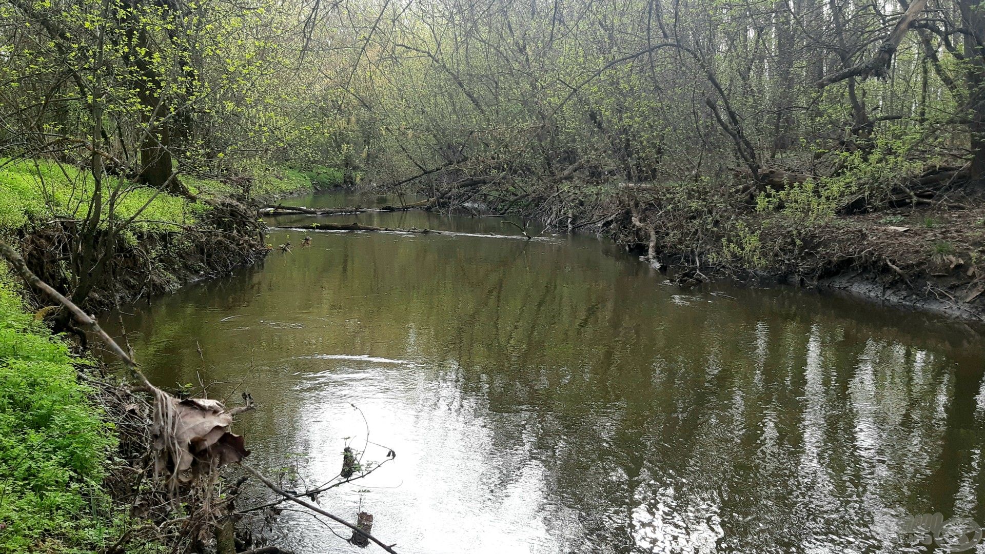 A parton már tavaszodott, de a víz téliesen hideg volt