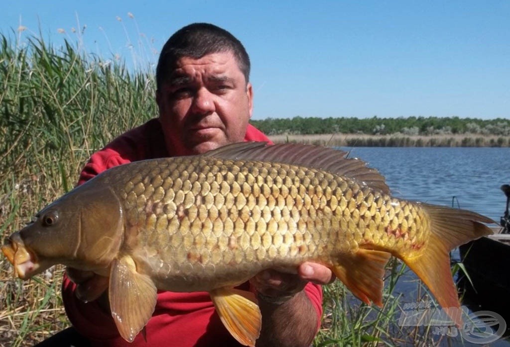 Az első partot ért, értékelhető hal a maga 3,3 kilójával