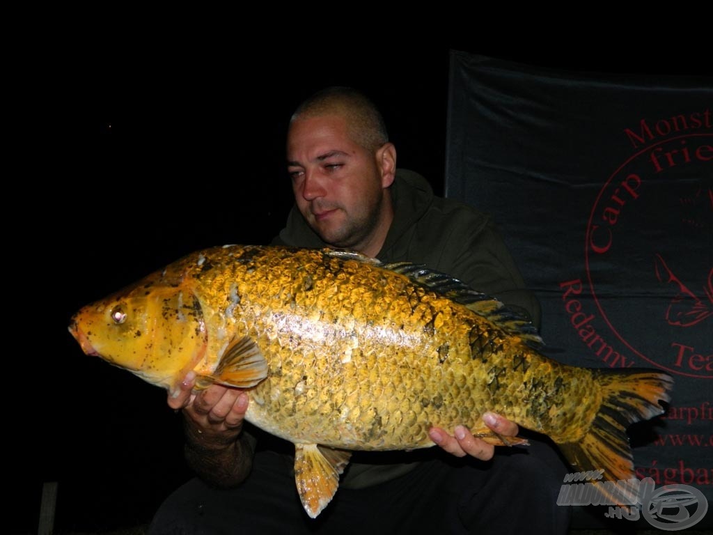 6,80 kg-os koi ponty