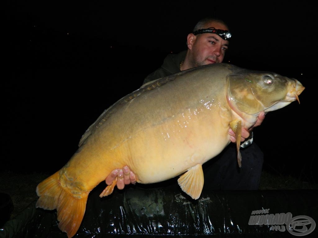 16,90 kg-os éjszakai tükrös