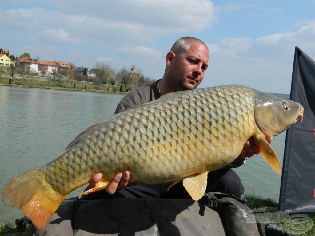 A déli kapás eredménye ez a14 kg-os nyurgaponty