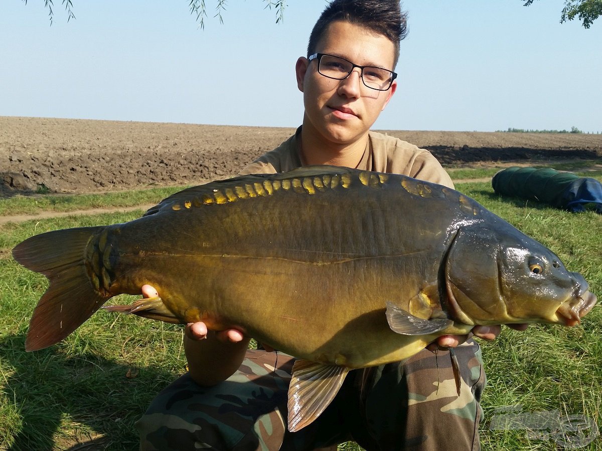 Egy gyönyörű, 5,2 kg-os ponty