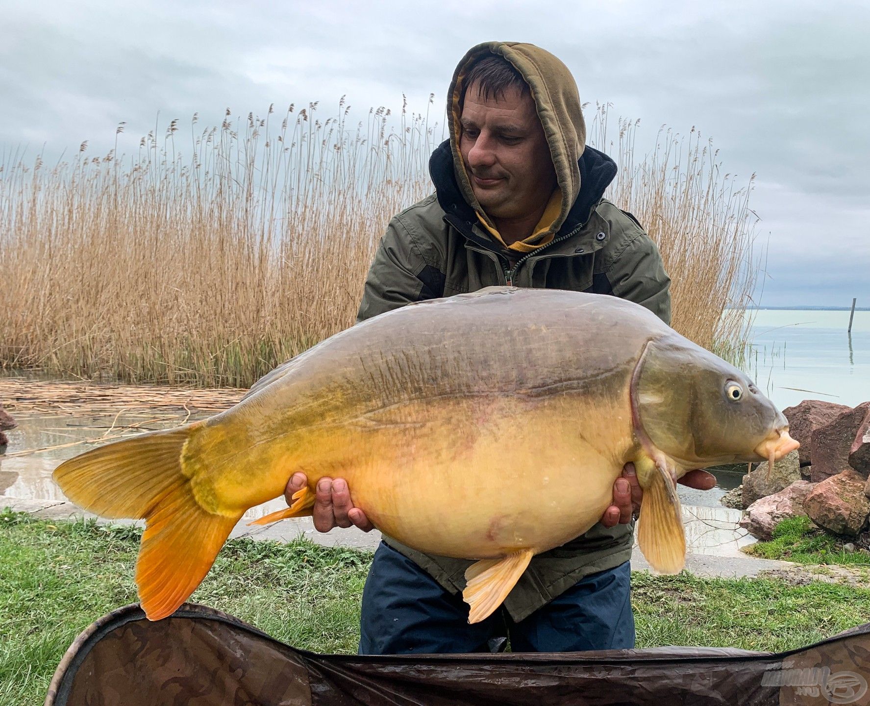 A változtatás eredménye ez a 15 kg fölötti, egyéni balatoni tükörponty rekord