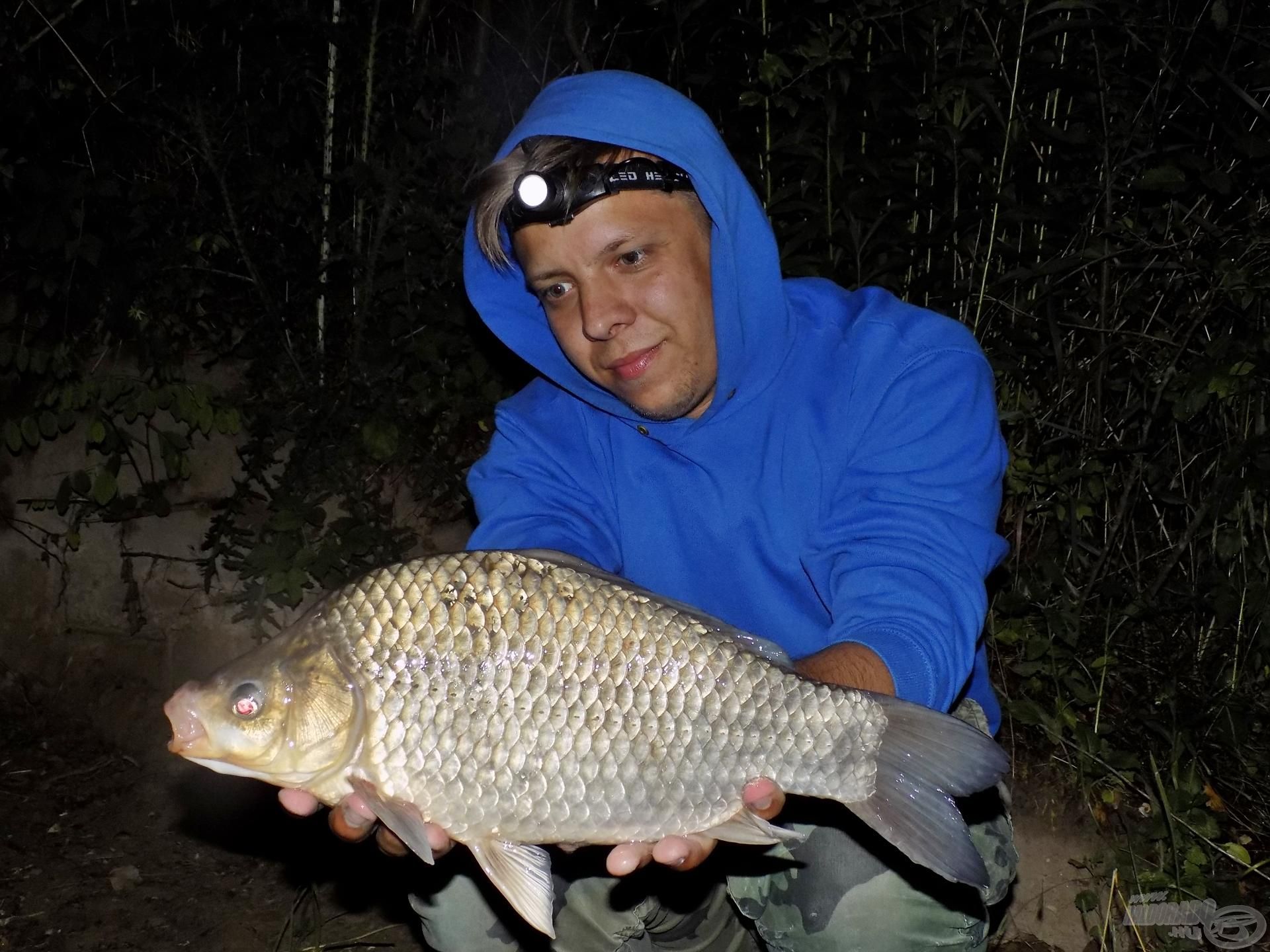 Az éjszaka fogott legszebb halam! A gyönyörű ezüstkárász súlya meghaladta az 1,30 kg-ot! Megfogásának körülményei teljes mértékben eltértek az addig erőltetett elgondolásaimtól…