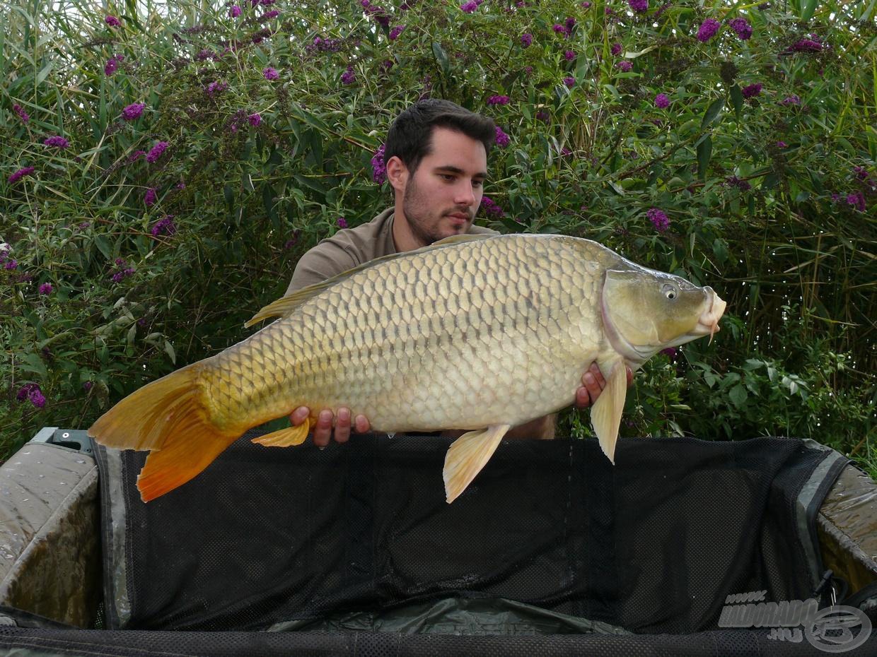 A Fish Aréna jellegzetessége, hogy igen szép számban lakják tőpontyok