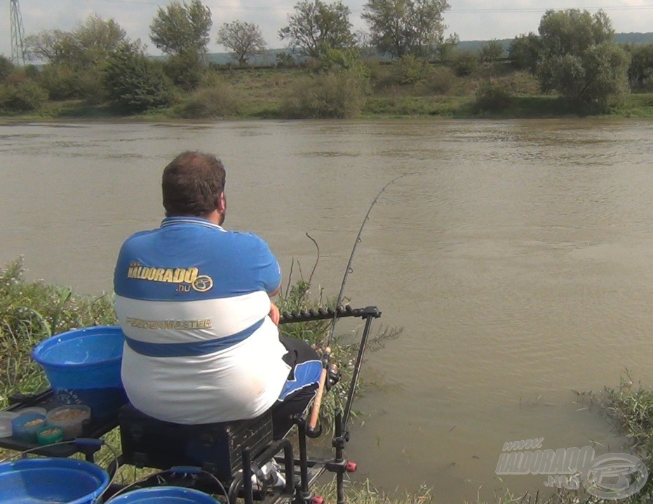 A Spro Special Pellet Feeder jól bírta az extrém igénybevételt