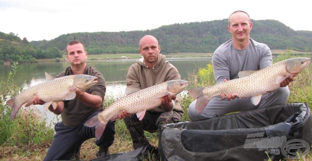 Amur dömping Absolute Carp módra