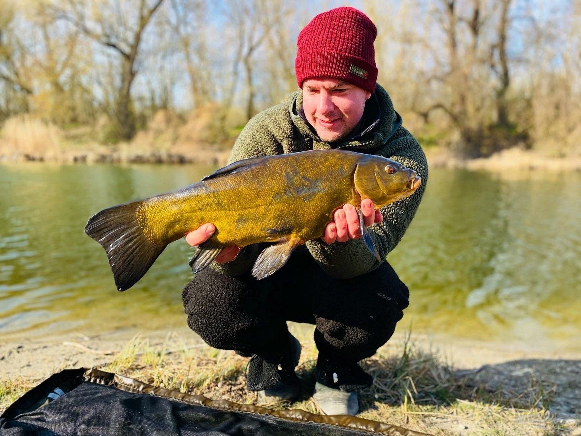 Eddigi legnagyobb compóm, kereken 2 kg