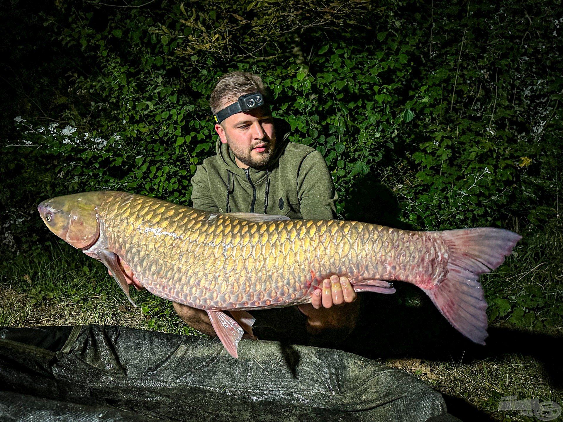 Hatalmas torpedó, közel a 20 kg-hoz!