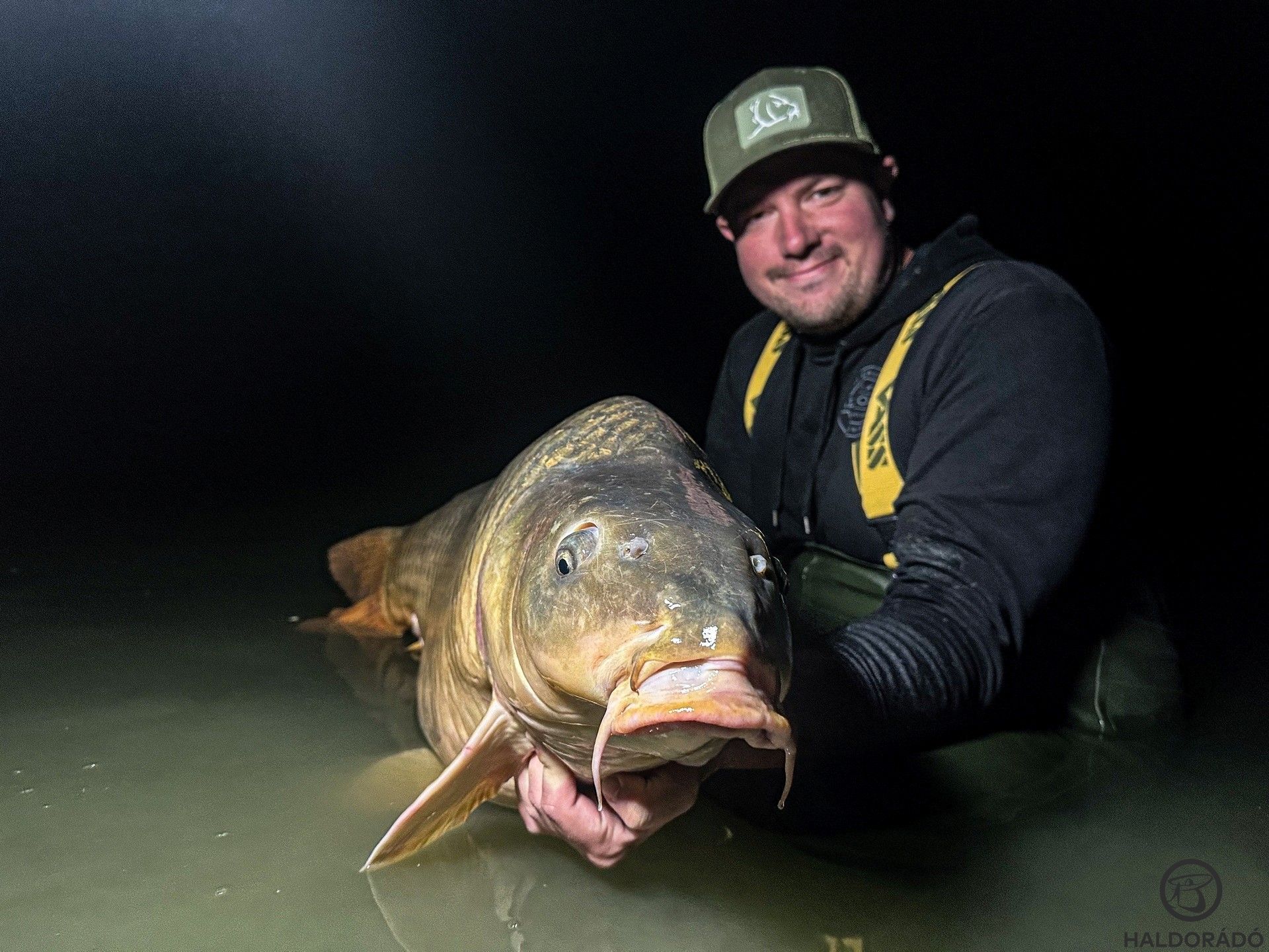 Újabb hatalmas pikkelyes