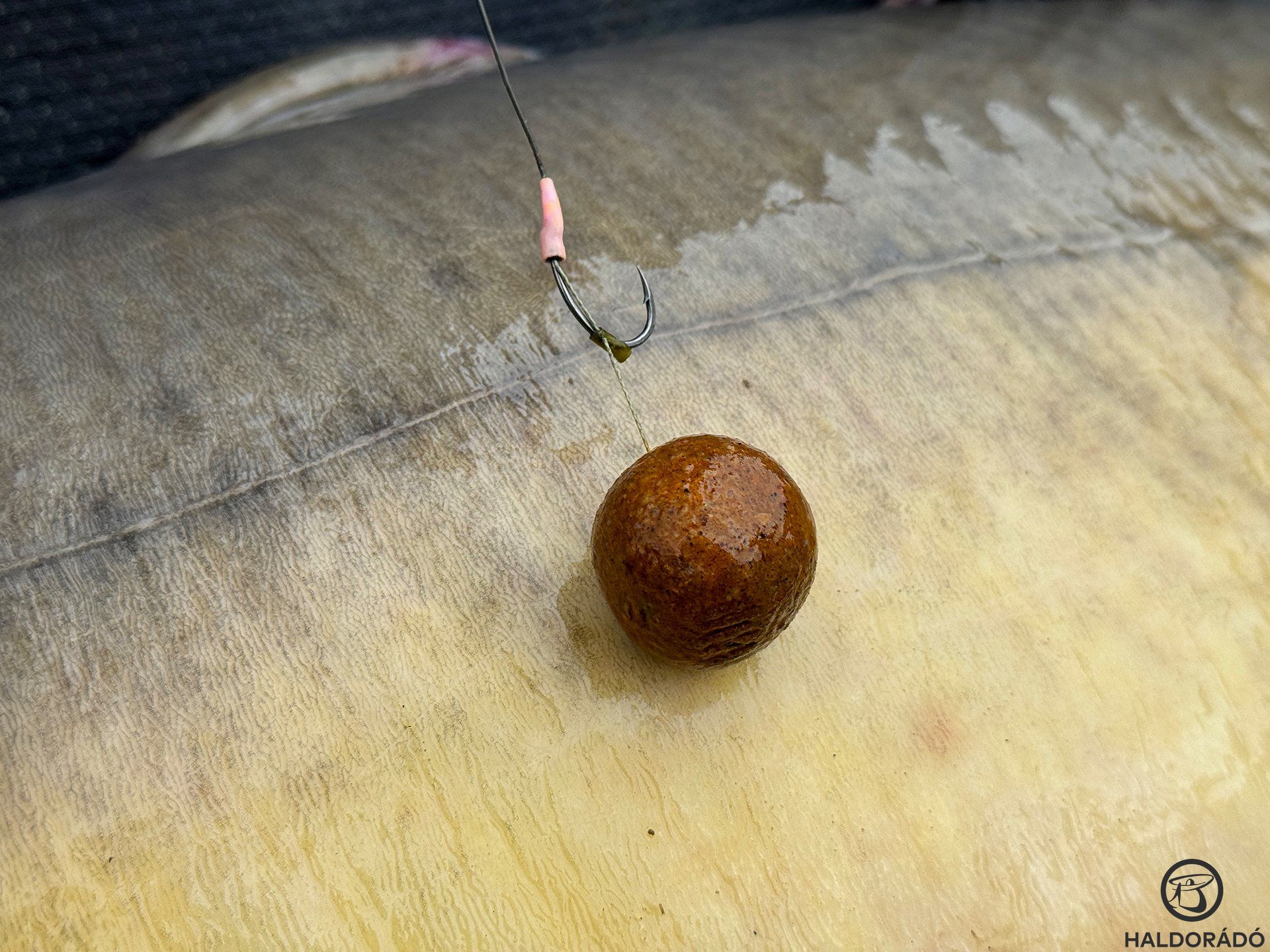 Viharvert horogelőkém