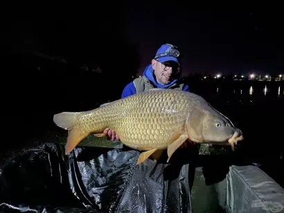 Szégyenlős pontyok a homályzónából