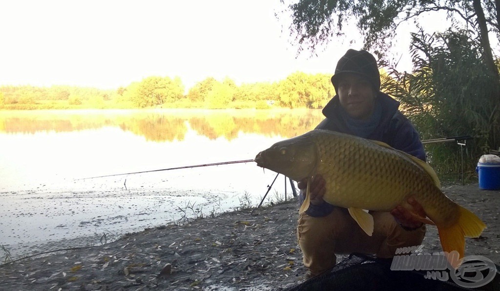 Ez a szép 6,80 kg-os ponty értékelte először a gondosan összeállított etetőanyagot