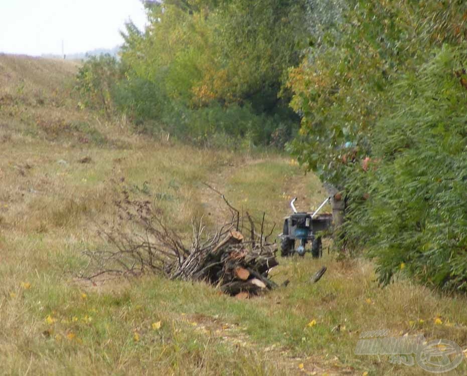 Uszadékfát gyűjtöttünk, takarítottunk