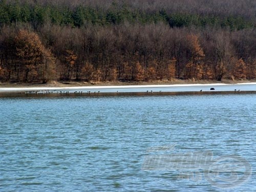 Nagyon szép környezetben helyezkedik el Komravölgyi-víztározó