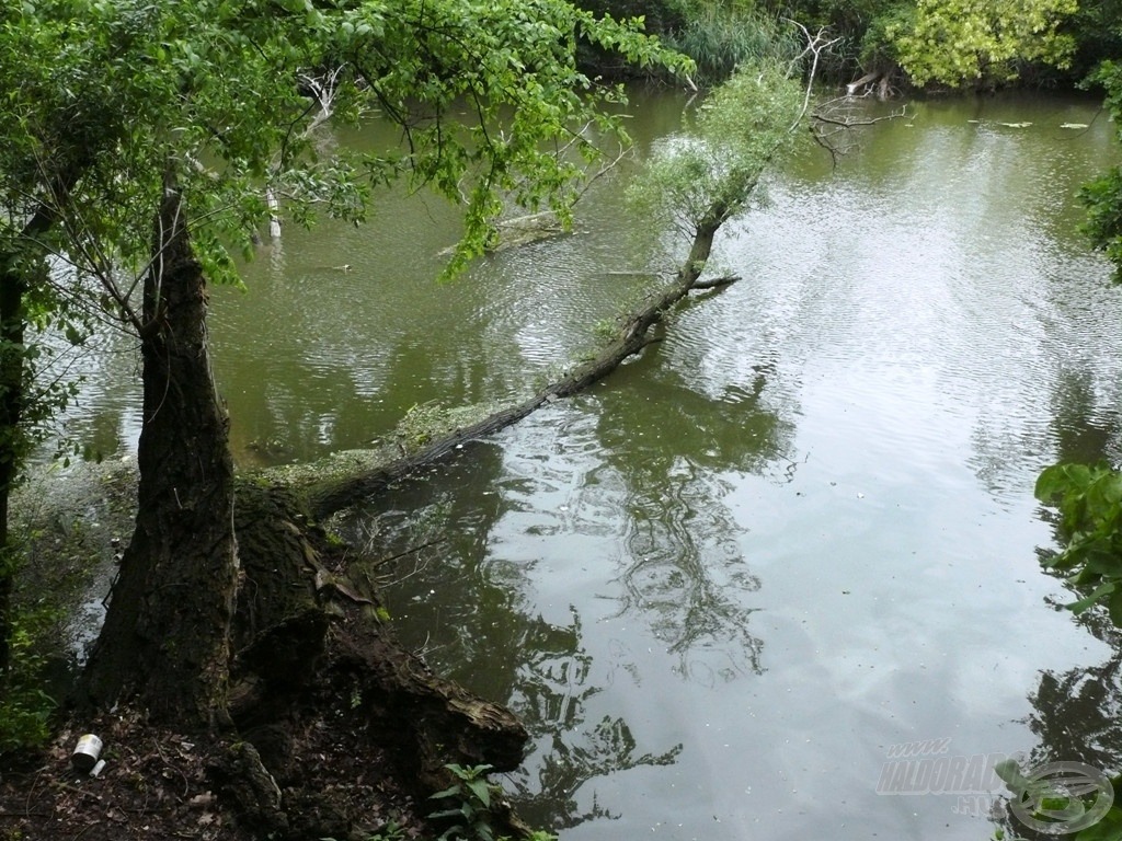 Nem szerettem volna itt lenni mikor kidőlt!