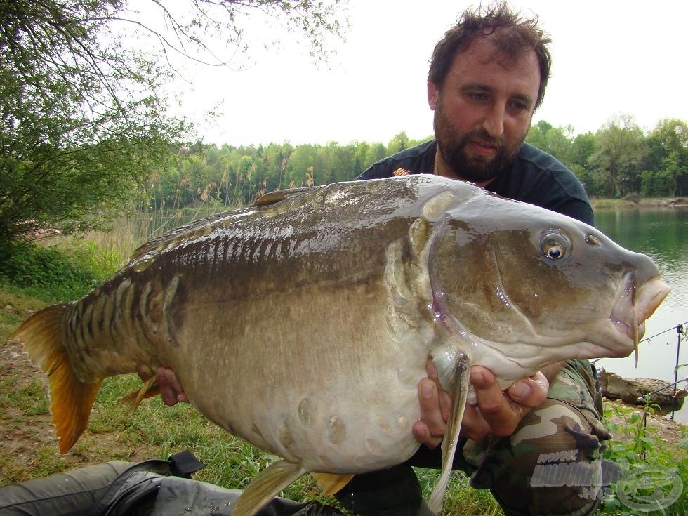 Egy hajszál híján 20-as spanyolpikkelyes, Squid-Shrimp horogbojlival