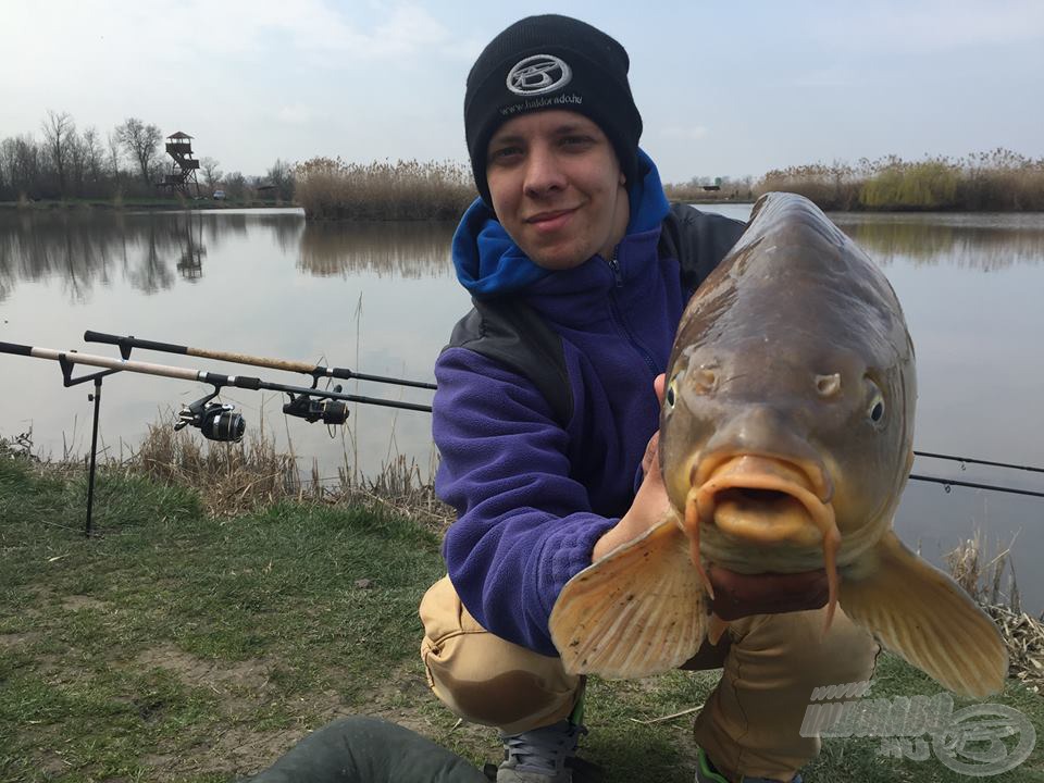 Ezt a szép, 8 kg-ot meghaladó pontyot is a method módszer verte át