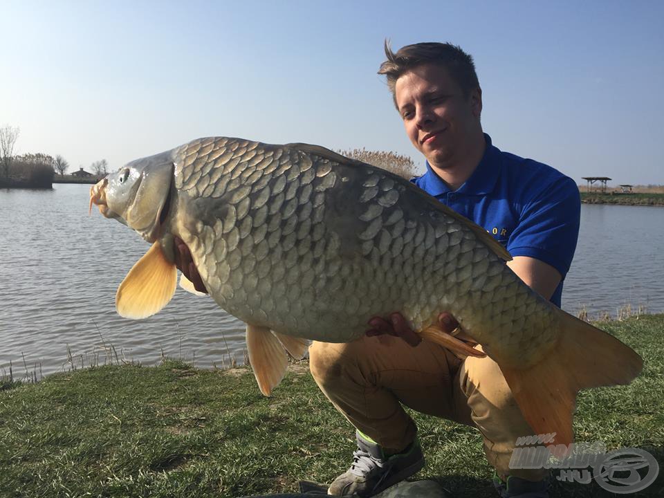 Ha nem velem történik, nem hiszem el! Óriási tőponttyal ajándékozott meg a Kék Fúzió!