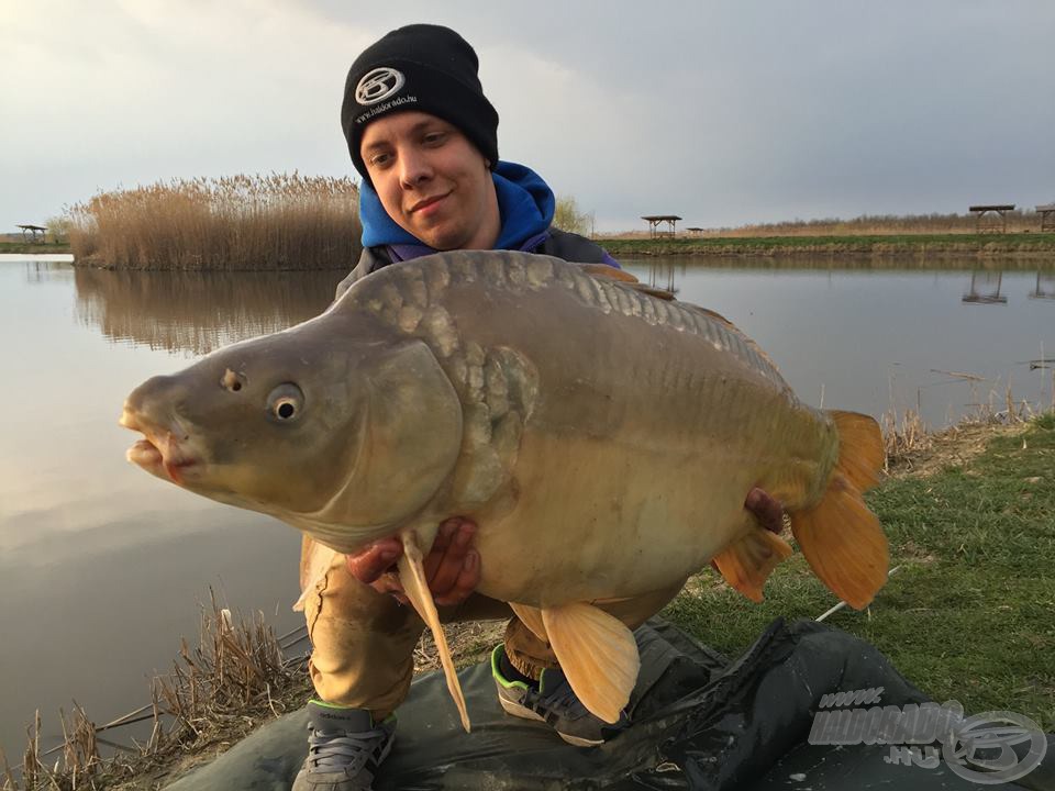 Újabb 10+-os pontyot sikerült legyőznöm. A hal pontos súlya 10,06 kg volt