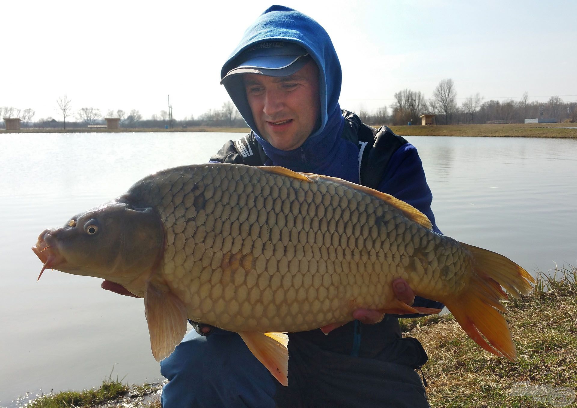 Idei első pontyom, ami kicsivel meghaladta az 5 kg-ot