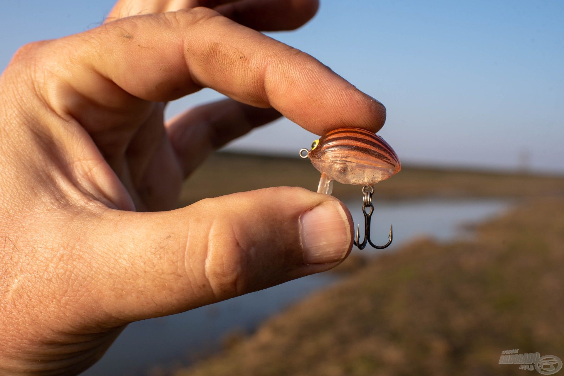 A bogaras időszakban a Salmo LilBug sok élvezetes kapást adhat