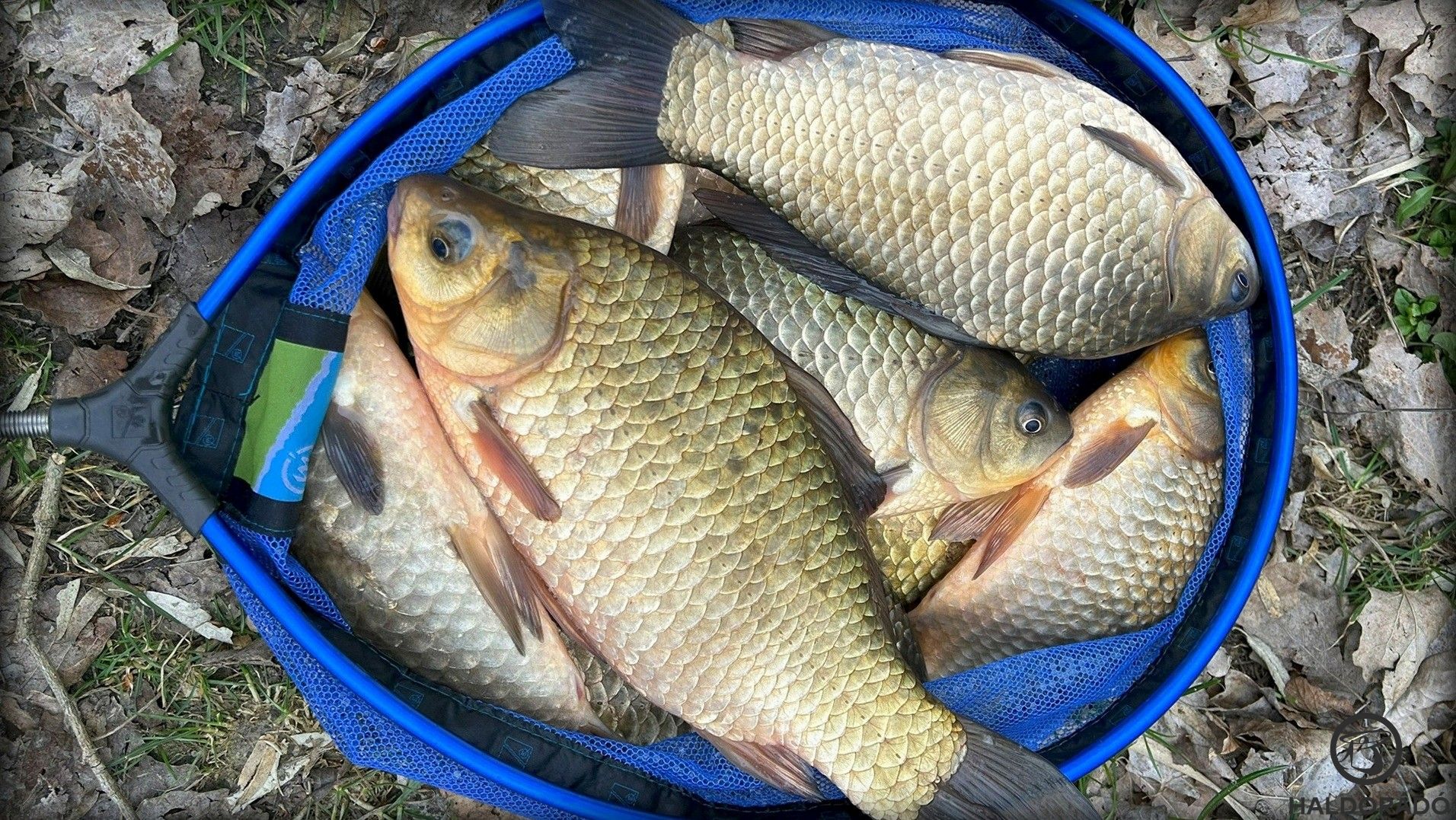 Tavaszra hangolódva 1. rész