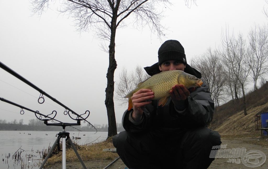 Az év első hala, februárban