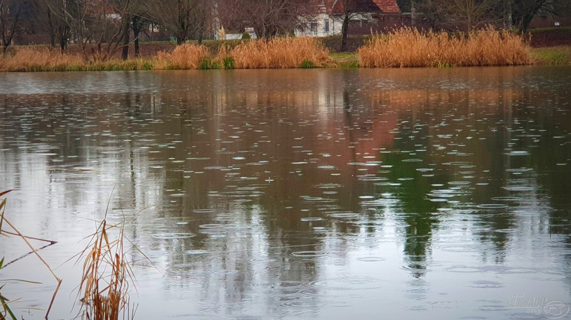 Az eső is eleredt, melyet egyre jobban megélénkülő szél kísért