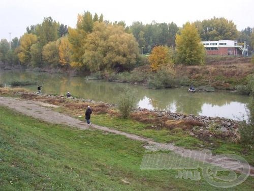 Ez a Benta patak, itt a feszített víztükör, közepes áramlást sejtet, kedvelt pontyozó hely