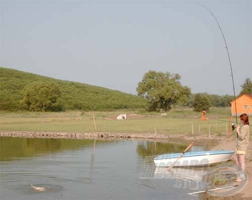 Tavaly nyáron, rendkívül jót horgásztunk a Tereskei tavon