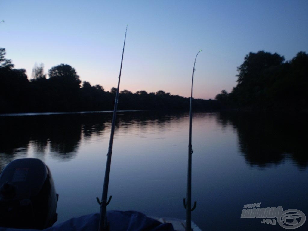 Tiszai élményem, avagy élményem a Tisza