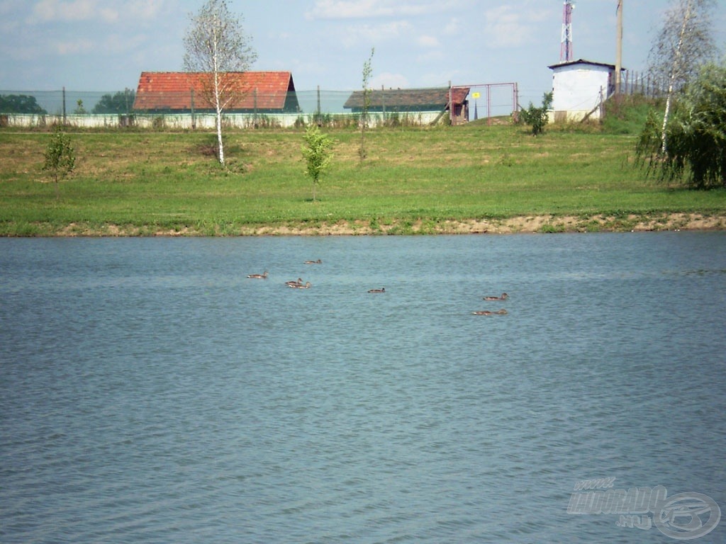 A II. Holt-Tisza rendezett partja az elmaradhatatlan tőkés récékkel