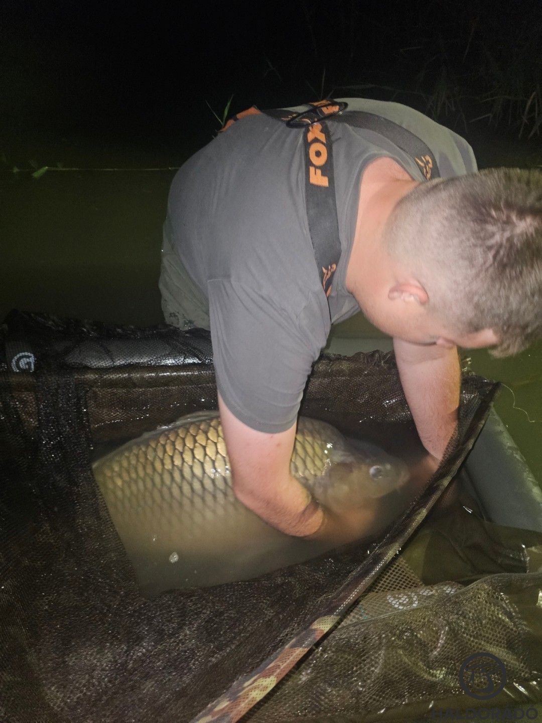 Kíméletes bánásmód és horogszabadítás a vízben