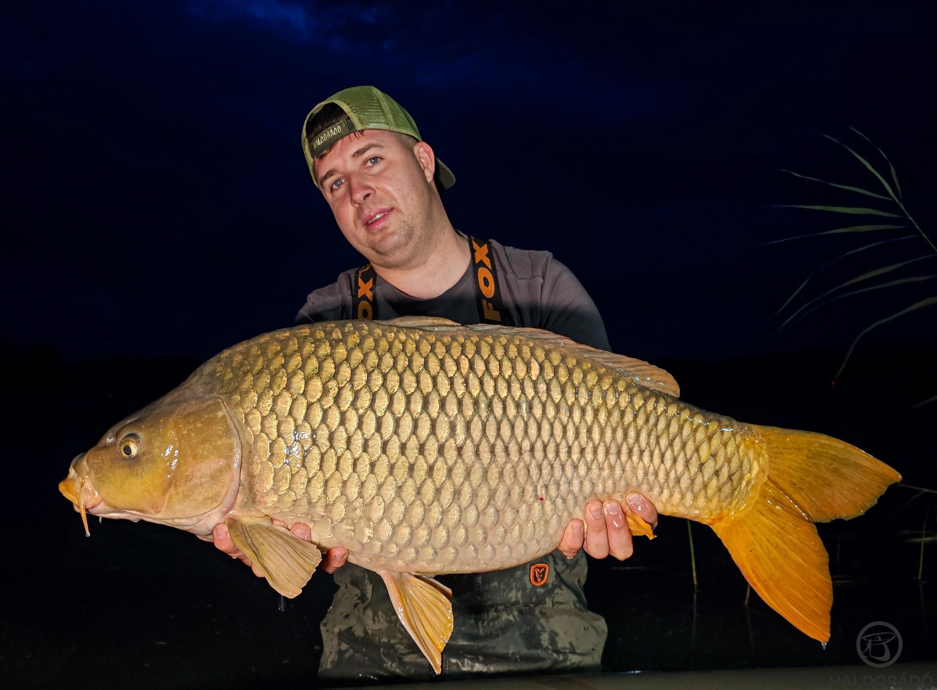 Megvan az első halunk! Nagyon erős volt, megdolgoztatott a fárasztás alatt