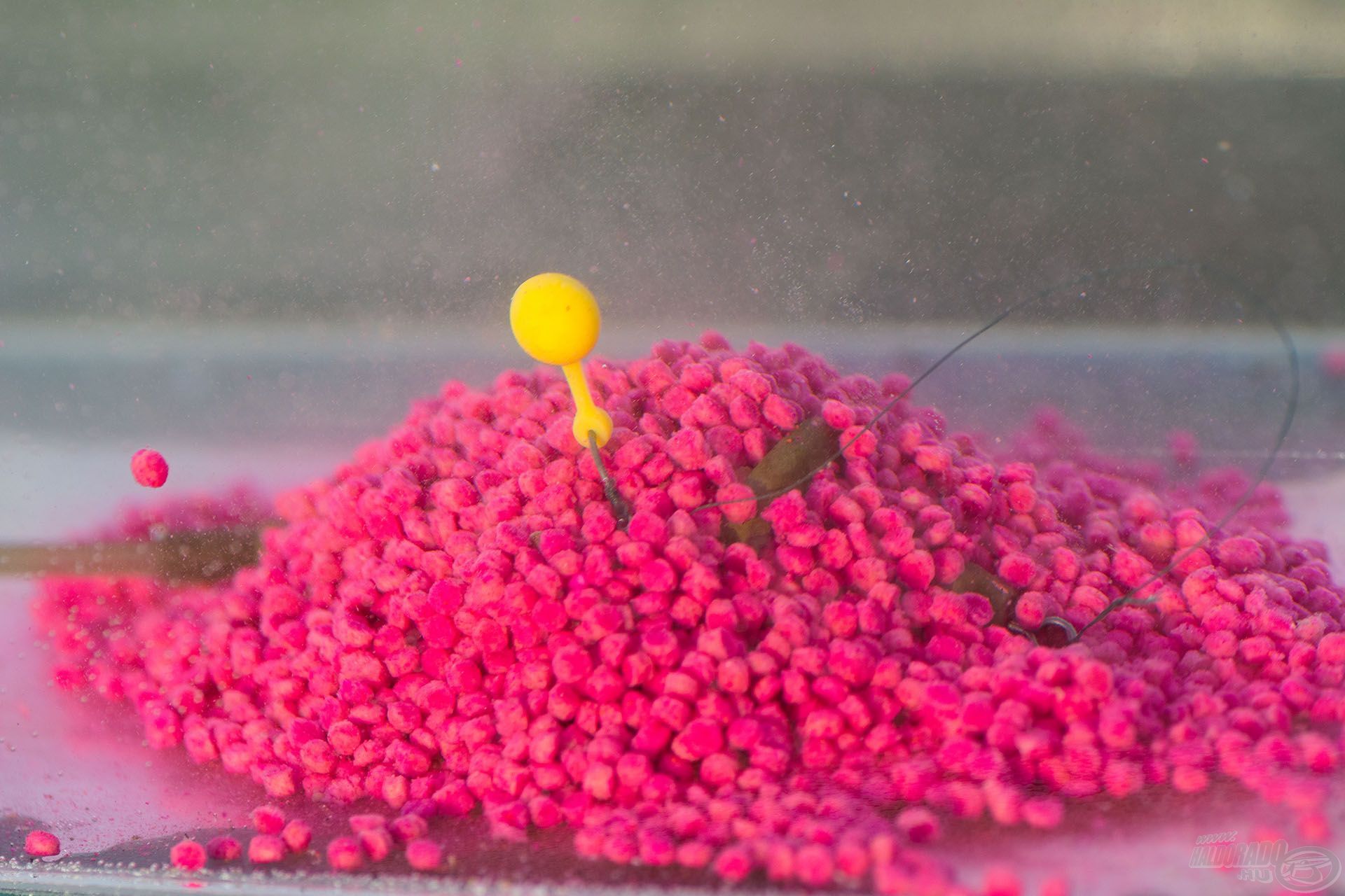 A Fluo Micro Method Feed Pellet egészen apró méretű, 1,5 mm-es pelletszemeket tartalmaz, amelyeket egyenletesen lehet a présszerszámos kosarakba is beletölteni