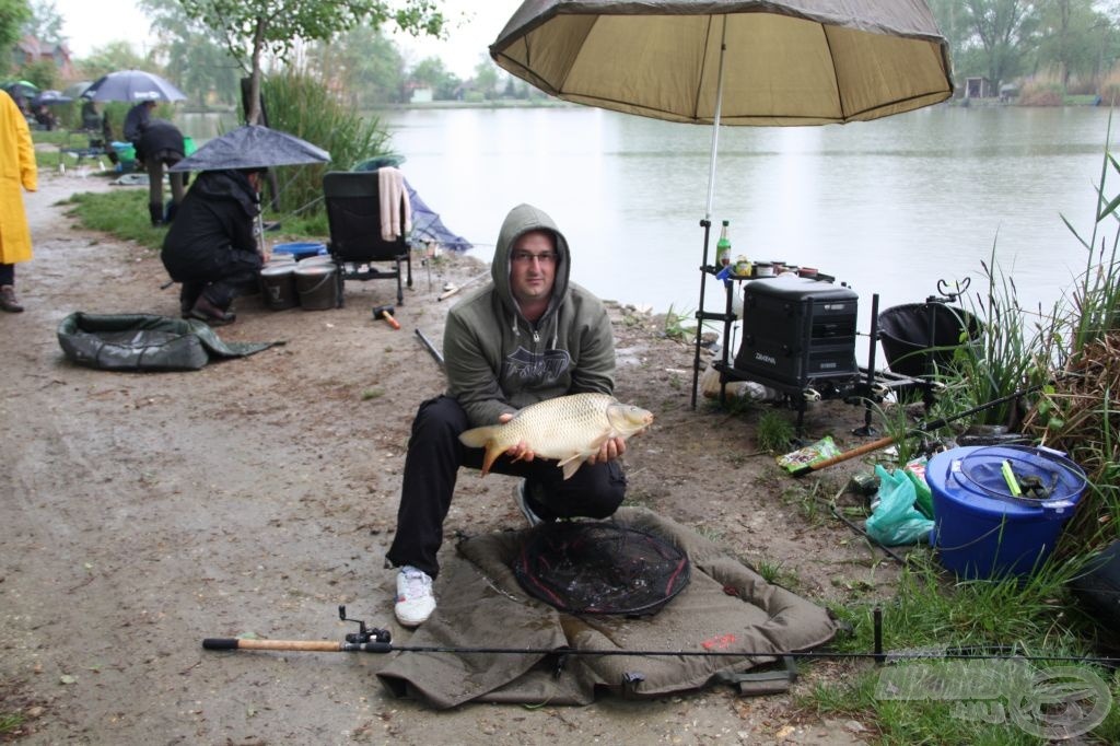 Egy újabb tőponty a büfé oldalról