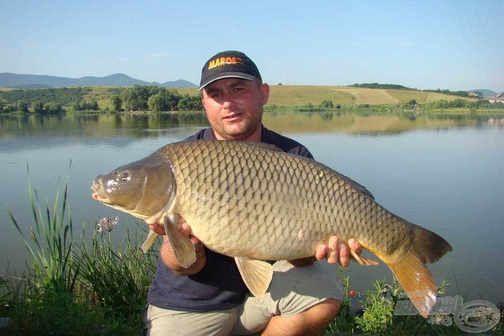 A pikkelyes pontyok az elején is főszerepet kaptak